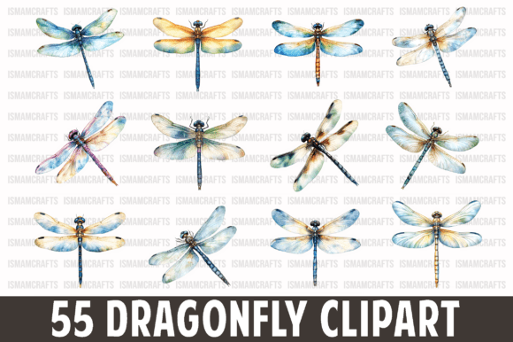 Download Dragonfly Watercolor Clipart Bundle - Premium Resources